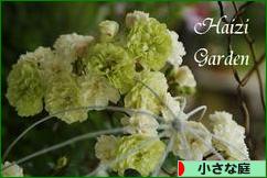 にほんブログ村 花ブログ 小さな庭へ
