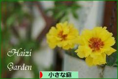 にほんブログ村 花ブログ 小さな庭へ