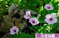 にほんブログ村 花・園芸ブログ 小さな庭へ