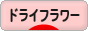 にほんブログ村 花ブログ ドライフラワー・(押し花)へ