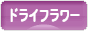 にほんブログ村 花ブログ ドライフラワーへ