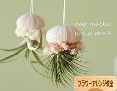 にほんブログ村 花・園芸ブログ フラワーアレンジ教室・販売へ