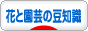 にほんブログ村 花ブログ 花と園芸の豆知識へ