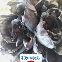 にほんブログ村 花・園芸ブログ フラワースクール・レッスンへ