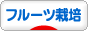 にほんブログ村 花ブログ フルーツ栽培・加工へ