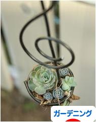 にほんブログ村 花ブログ ガーデニングへ