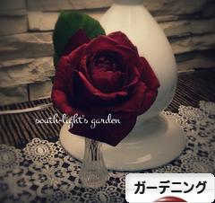 にほんブログ村 花・園芸ブログ ガーデニングへ