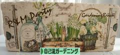 にほんブログ村 花・園芸ブログ 自己流ガーデニングへ