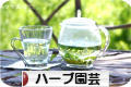 にほんブログ村 花・園芸ブログ ハーブ園芸へ