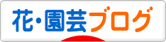 にほんブログ村 花ブログへ