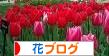 にほんブログ村 花ブログへ