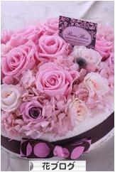 にほんブログ村 花・園芸ブログへ