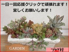 にほんブログ村 花・園芸ブログへ