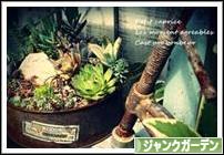 にほんブログ村 花ブログ ジャンクガーデンへ