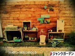 にほんブログ村 花ブログ ジャンクガーデンへ