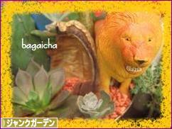 にほんブログ村 花・園芸ブログ ジャンクガーデンへ