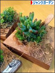 にほんブログ村 花・園芸ブログ ジャンクガーデンへ