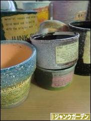 にほんブログ村 花・園芸ブログ ジャンクガーデンへ