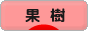 にほんブログ村 花ブログ 果樹・野菜（家庭菜園）へ