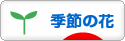にほんブログ村 花・園芸ブログ 季節の花へ