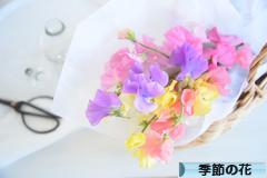 にほんブログ村 花・園芸ブログ 季節の花へ