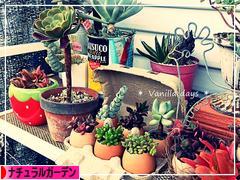 にほんブログ村 花ブログ ナチュラルガーデンへ