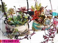 にほんブログ村 花ブログ ナチュラルガーデンへ