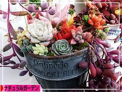 にほんブログ村 花ブログ ナチュラルガーデンへ