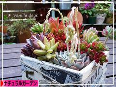 にほんブログ村 花ブログ ナチュラルガーデンへ