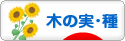 にほんブログ村 花ブログ 木の実・種へ