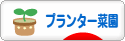 にほんブログ村 花ブログ プランター菜園へ