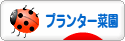 にほんブログ村 花ブログ プランター菜園へ