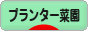 にほんブログ村 花ブログ プランター菜園へ