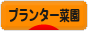 にほんブログ村 花ブログ プランター菜園へ