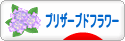 にほんブログ村 花ブログ プリザーブドフラワーへ