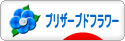 にほんブログ村 花ブログ プリザーブドフラワーへ