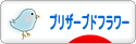 にほんブログ村 花ブログ プリザーブドフラワーへ