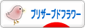 にほんブログ村 花ブログ プリザーブドフラワーへ