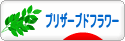 にほんブログ村 花ブログ プリザーブドフラワーへ