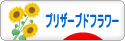 にほんブログ村 花ブログ プリザーブドフラワーへ