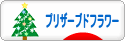 にほんブログ村 花ブログ プリザーブドフラワーへ