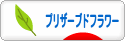 にほんブログ村 花ブログ プリザーブドフラワーへ