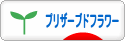 にほんブログ村 花ブログ プリザーブドフラワーへ