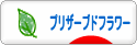 にほんブログ村 花ブログ プリザーブドフラワーへ