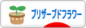 にほんブログ村 花ブログ プリザーブドフラワーへ