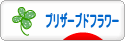 にほんブログ村 花ブログ プリザーブドフラワーへ