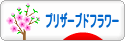 にほんブログ村 花ブログ プリザーブドフラワーへ