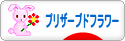 にほんブログ村 花ブログ プリザーブドフラワー（個人）へ