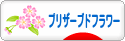 にほんブログ村 花ブログ プリザーブドフラワーへ