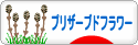 にほんブログ村 花ブログ プリザーブドフラワーへ